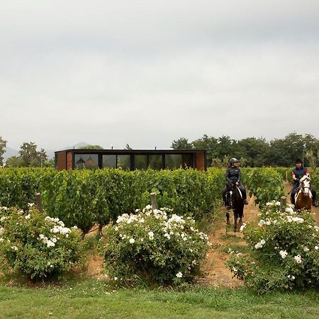 Vibo Wine Lodge At Viu Manent Santa Cruz Zewnętrze zdjęcie