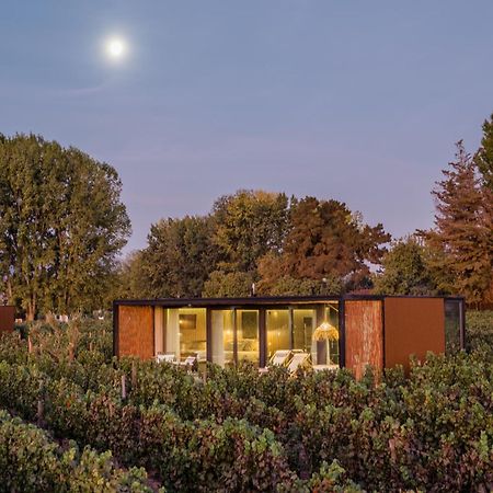 Vibo Wine Lodge At Viu Manent Santa Cruz Zewnętrze zdjęcie
