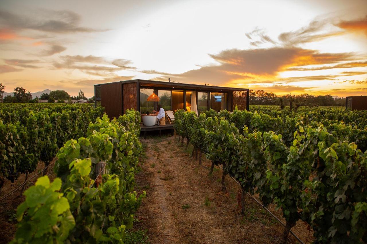 Vibo Wine Lodge At Viu Manent Santa Cruz Zewnętrze zdjęcie