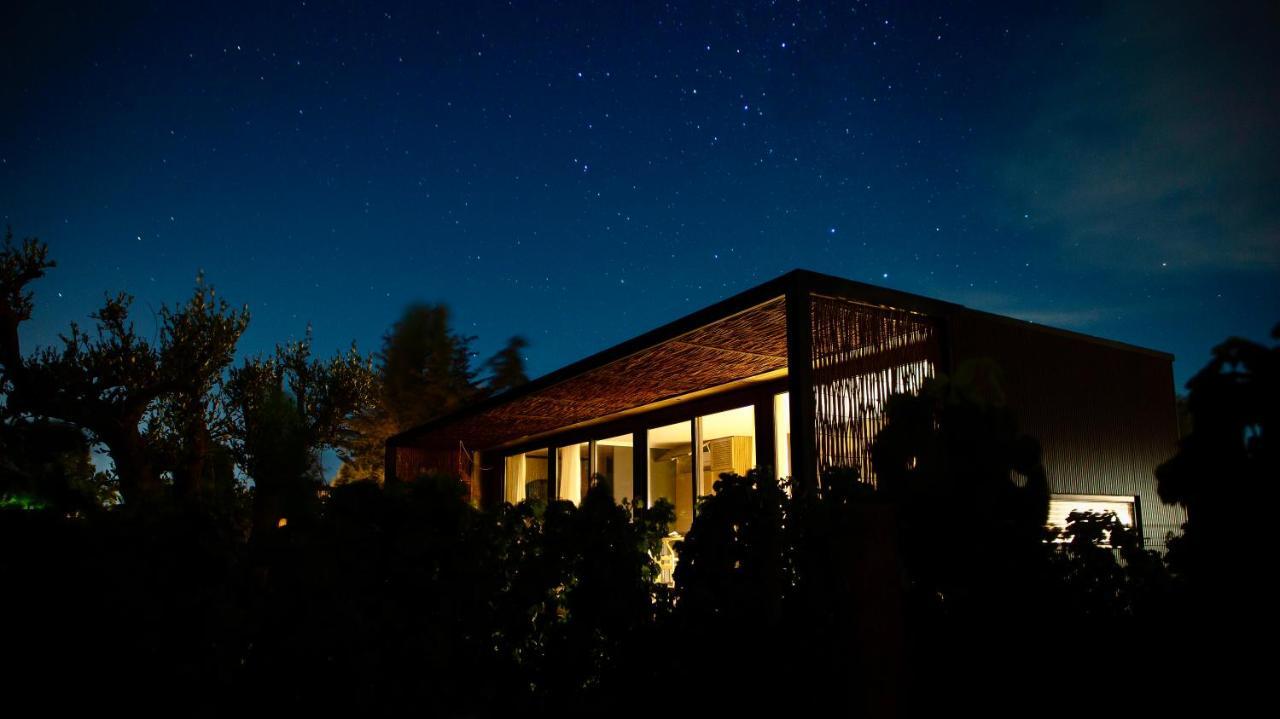 Vibo Wine Lodge At Viu Manent Santa Cruz Zewnętrze zdjęcie