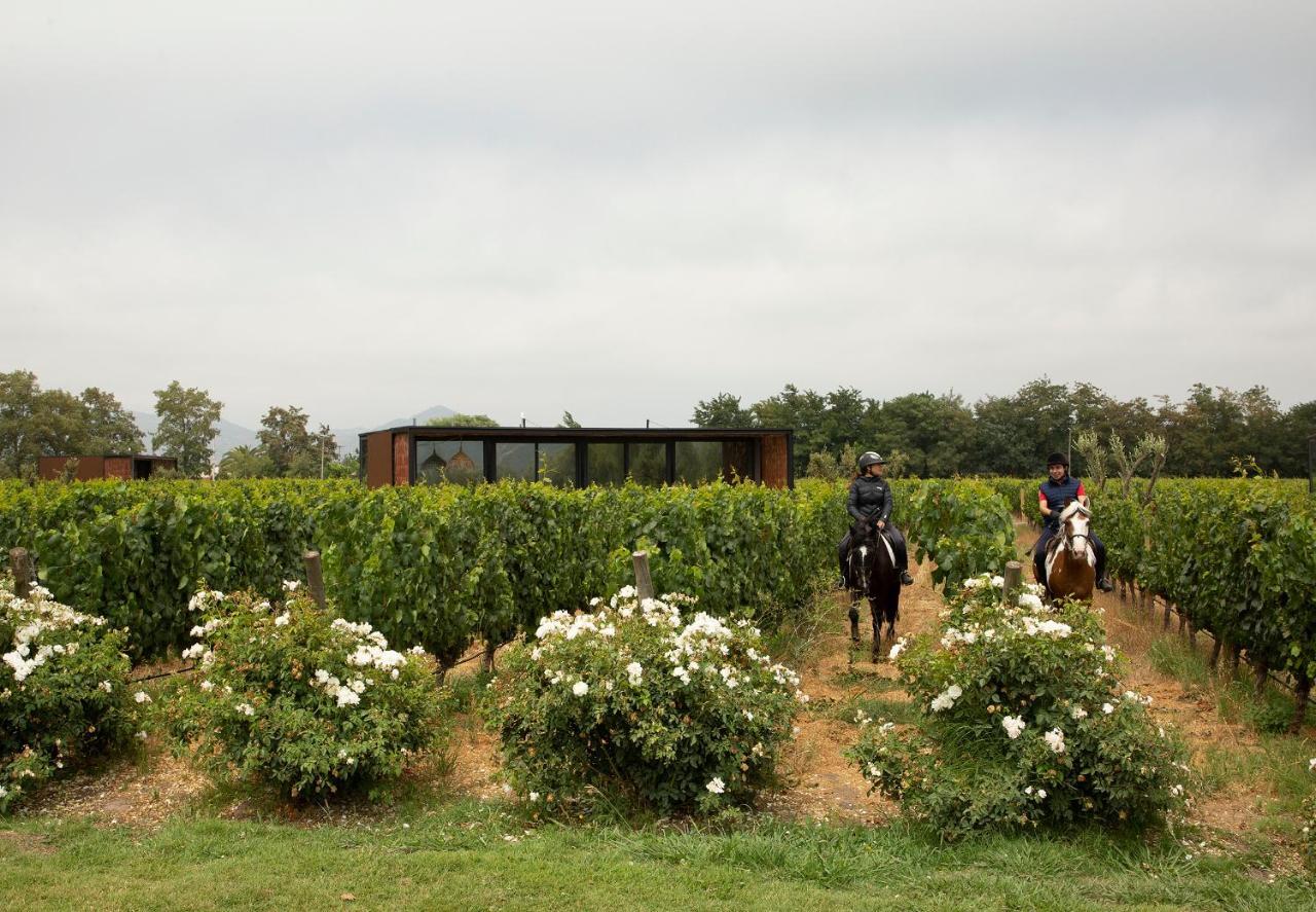 Vibo Wine Lodge At Viu Manent Santa Cruz Zewnętrze zdjęcie