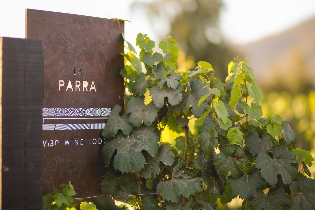 Vibo Wine Lodge At Viu Manent Santa Cruz Zewnętrze zdjęcie