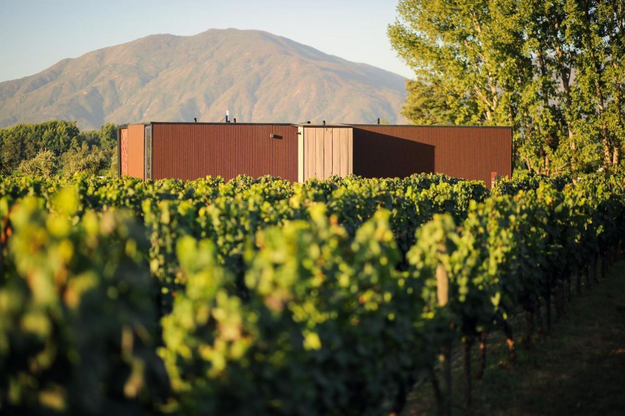 Vibo Wine Lodge At Viu Manent Santa Cruz Zewnętrze zdjęcie