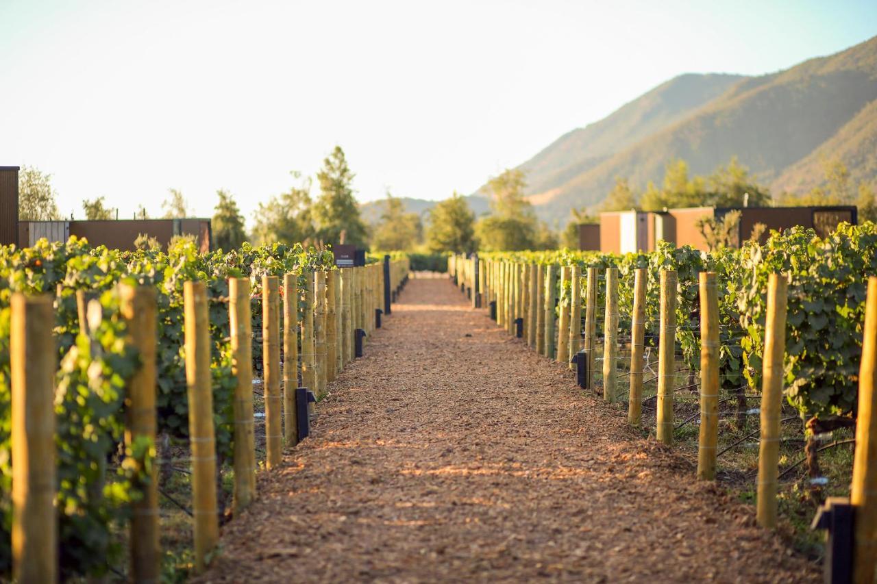 Vibo Wine Lodge At Viu Manent Santa Cruz Zewnętrze zdjęcie