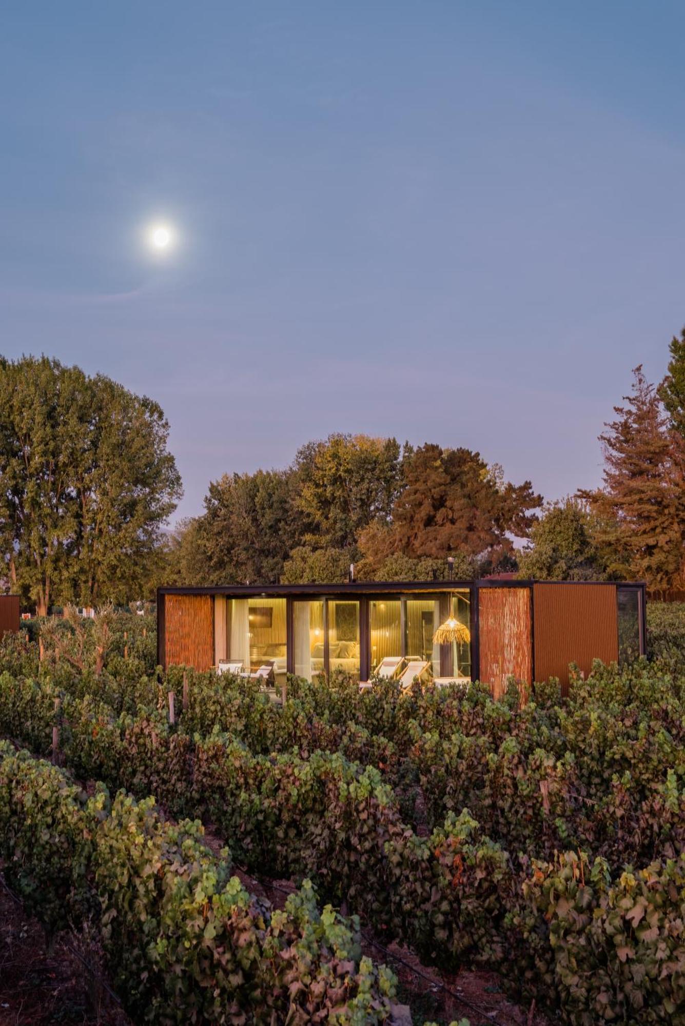 Vibo Wine Lodge At Viu Manent Santa Cruz Zewnętrze zdjęcie